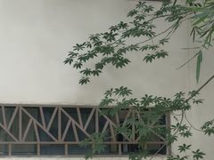 -厦门园林博览苑