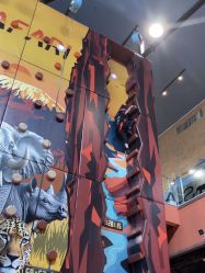 -卡通尼·Safari非洲探索乐园·生日会(金桥国际商业广场店)