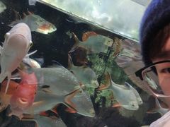 -太平洋海底世界