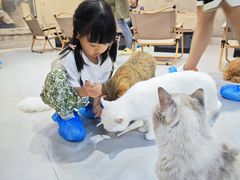 -Heymao猫咖.咖啡厅(东门店)
