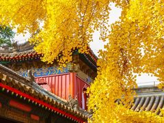 -承恩寺