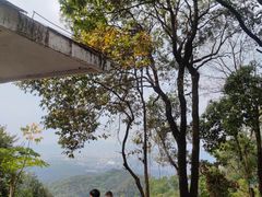 -火炉山森林公园