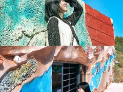 -广东惠东海龟国家级自然保护区