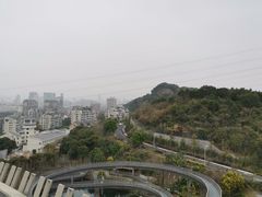 -福道