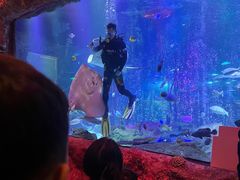 -沈阳海洋探索中心