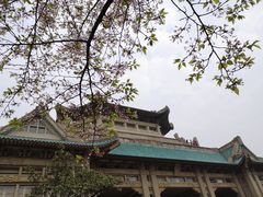 -武汉大学-樱园