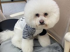 -瑞派康怡24h宠物医院·犬猫医疗中心·微创绝育(瑞景分院)