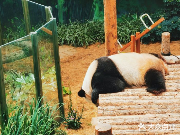 大连森林动物园图片