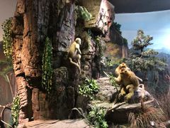 -陕西自然博物馆