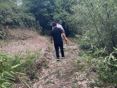 -铁山坪森林公园