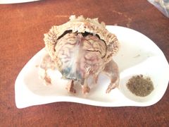 羊脑-洪记白水羊头(天坛店)