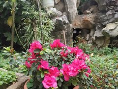 -美味之家·湖景农家乐(太湖东山店)