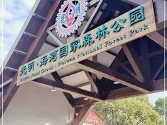 -上海海湾国家森林公园