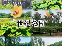 -西安市长乐公园