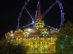 -锦江乐园舞狸花花游园会(夜场专享)