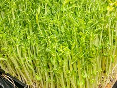 -常赢三兄弟·清真涮肉(崂山路总店)