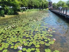 -阳澄湖费尔蒙酒店