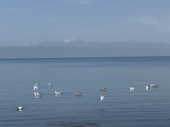 -青海湖二郎剑景区