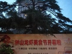 -南京钟山宾馆(江苏省会议中心)
