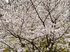 -黄鱼炙夜·烧烤·小龙虾(星荟广场店)