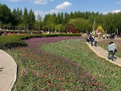 -长春公园(普阳街道)