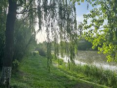 -白鹭湾湿地公园