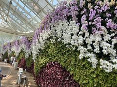 -石家庄市植物园