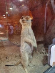 -酷嗒动物文化乐园(cutezoo西溪乐天城店)