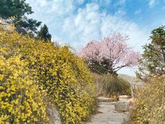 -北京西山国家森林公园