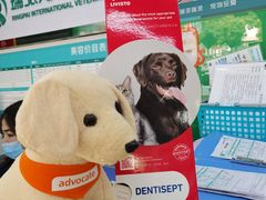 -瑞派动物医院·猫专科·至诚(江南中分院)