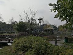 -成飞公园