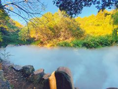 -北京西山国家森林公园