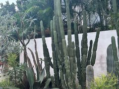 -自由生长植物工作室(深港花卉中心店)