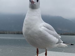-滇池海埂公园