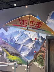 -飞览天下沉浸式飞行体验(北京旗舰店)