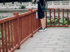 -莲花池公园