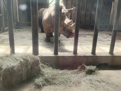 -石家庄市动物园