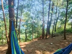 -重庆睡佛山森林公园