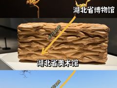 -龚兴城鱼羊吉·家传湖北菜(苗栗路总店)