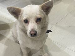 -姐妹炖罐店(桂香街总店)