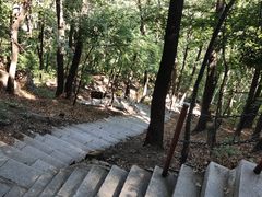 -吉林市朱雀山国家森林公园