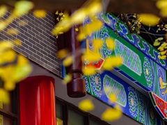 -四川大学(华西校区)