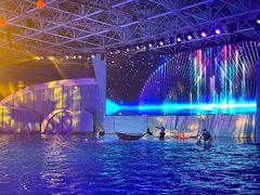 -海合安青岛极地海洋公园