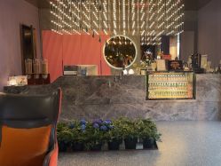 -花隐·美芙炫海菲秀皮肤管理中心