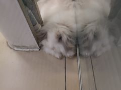 -美迦爱-牙专科·兔科·骨科诊疗中心(北苑店)