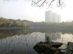 -高子水居