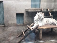 -西安秦岭野生动物园