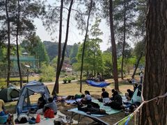 -铁山坪森林公园