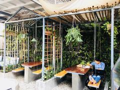 -Rainforest