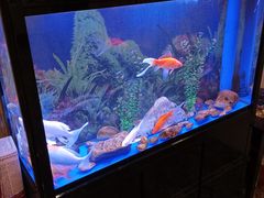 -宜昌富力皇冠假日酒店·咖啡1号西餐厅